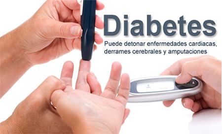 enfermedad de diabetes Una bacteria intestinal que podría curar la diabetes